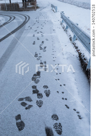 Walk on a snowy day Walk on a snowy day 140702518