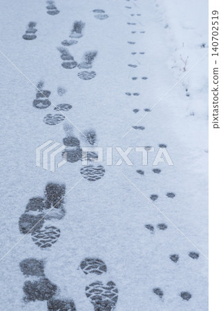 Walk on a snowy day Walk on a snowy day 140702519