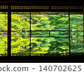琉璃光院的翠綠和秋葉美景 140702625