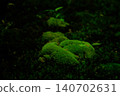琉璃光院的苔蘚覆蓋的岩石 140702631