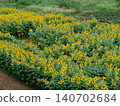 Summer flowers, landscape with sunflowers 140702684