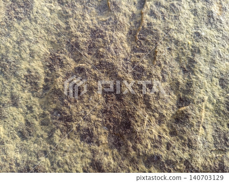 Rough Grunge Surface Pattern Rough Grunge Surface Pattern 140703129