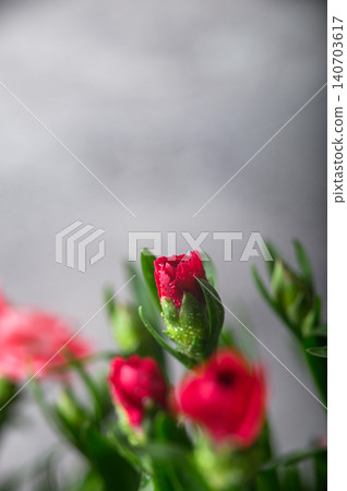 Collection of Dianthus Flowers with Dew Drops in Bloom. Red and Pink Carnation Macro Set Collection of Dianthus Flowers with Dew Drops in Bloom. Red and Pink Carnation Macro Set 140703617