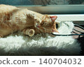 Cables and cats 140704032