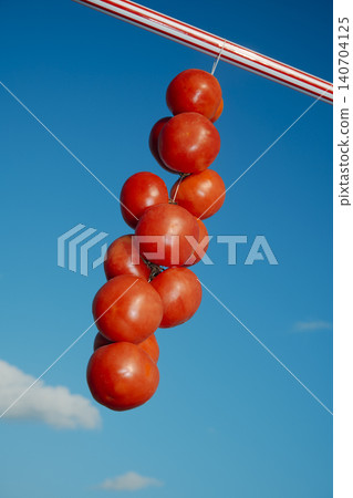 a string of tomates de colgar against the blue sky a string of tomates de colgar against the blue sky 140704125