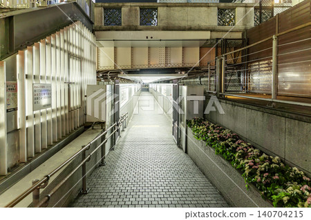 大阪夜景:道頓堀、道頓堀大橋、道頓堀河濱步道、大阪市、大阪府 大阪夜景:道頓堀、道頓堀大橋、道頓堀河濱步道、大阪市、大阪府 140704215