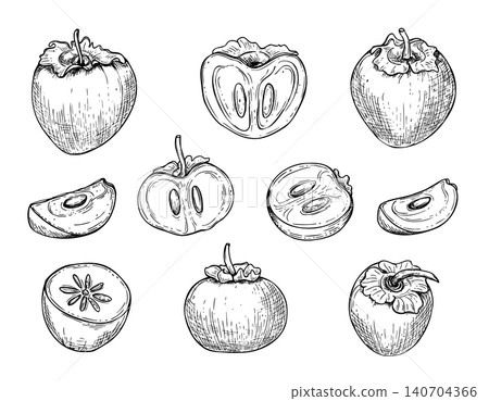 Set of hand drawn persimmon fruits vector isolated illustration. Whole, halved and sliced exotic fruit in sketch black ink style. Monochrome botanical etching drawing for culinary design Set of hand drawn persimmon fruits vector isolated illustration. Whole, halved and sliced exotic fruit in sketch black ink style. Monochrome botanical etching drawing for culinary design 140704366