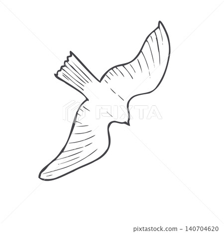 Flying seagull silhouette monochrome flat. Hand drawn bird linear drawing. Wild animal in flight graphic sketch. Simple line art element for nature theme, wildlife creative illustration 140704620