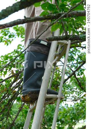 The foot on top of the stepladder The foot on top of the stepladder 140704762