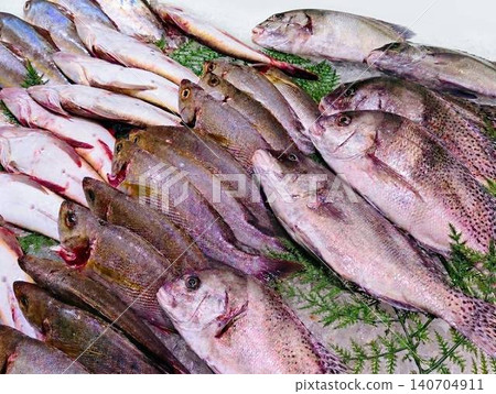 一張照片顯示,一大批新鮮捕獲的鯛魚和當地魚類被包裹在大量的碎冰中。 一張照片顯示,一大批新鮮捕獲的鯛魚和當地魚類被包裹在大量的碎冰中。 140704911