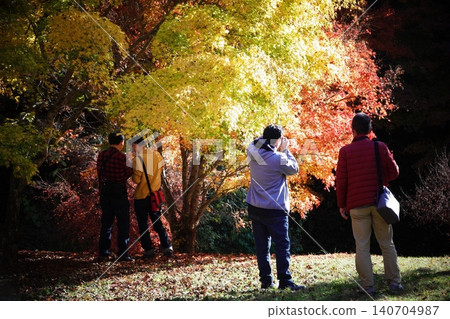 People enjoying taking photos of the vibrant autumn foliage in an autumn park scene. People enjoying taking photos of the vibrant autumn foliage in an autumn park scene. 140704987