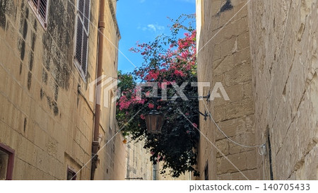 View of a lantern and bougainvillea on a narrow street between buildings in the old town View of a lantern and bougainvillea on a narrow street between buildings in the old town 140705433