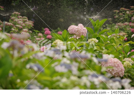 風景與繡球花 風景與繡球花 140706226