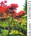靜岡縣：五月，楓葉紅綠相間，景色迷人。 140706371