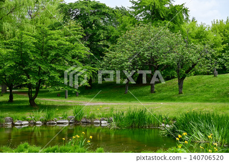 The scene of Nakajima Park in Sapporo, Hokkaido, Japan. The scenery of Nakajima Park in summer. A japanese garden and a decent public park in Japan. Nature and Travel scene. The scene of Nakajima Park in Sapporo, Hokkaido, Japan. The scenery of Nakajima Park in summer. A japanese garden and a decent public park in Japan. Nature and Travel scene. 140706520