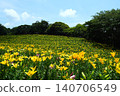 Kasui Lily Garden, Fukuroi City 140706549