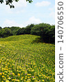 Kasui Lily Garden, Fukuroi City 140706550