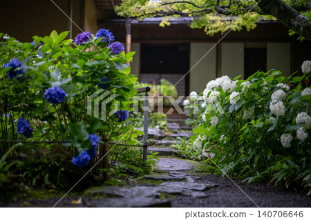 Hydrangeas glistening in the rain at Ichijo Eikan Villa, and a landscape overflowing with Japanese charm. 140706646