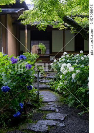 Hydrangeas glistening in the rain at Ichijo Eikan Villa, and a landscape overflowing with Japanese charm. Hydrangeas glistening in the rain at Ichijo Eikan Villa, and a landscape overflowing with Japanese charm. 140706648