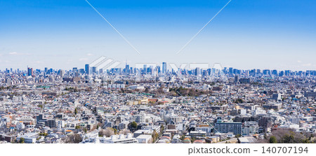 Panoramic view of Tokyo, the capital of Japan [Tokyo city panorama view] 140707194