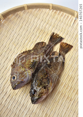竹籃和石斑魚 140707265