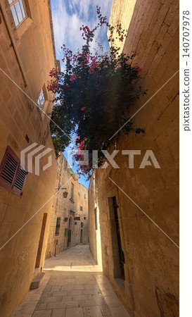 Bougainvillea on a narrow street between buildings in the old town Bougainvillea on a narrow street between buildings in the old town 140707978