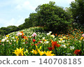 Kasui Lily Garden, Fukuroi City 140708185