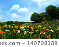 Kasui Lily Garden, Fukuroi City 140708189