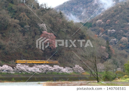 白眉線(岡山⇔新見)春季115系列車 白眉線(岡山⇔新見)春季115系列車 140708581