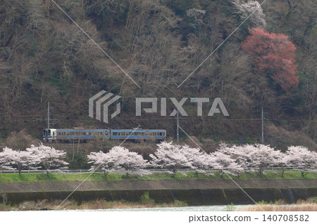 白眉線(岡山⇔新見)春季213系列車 白眉線(岡山⇔新見)春季213系列車 140708582