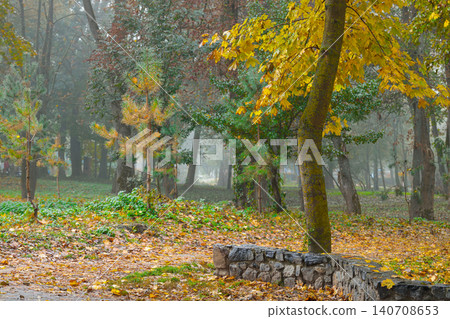 Golden leaves blanket the ground in a tranquil park setting, with trees shrouded in a gentle fog creating a serene atmosphere 140708653