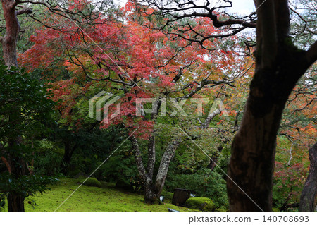 Autumn leaves of Yushien 140708693