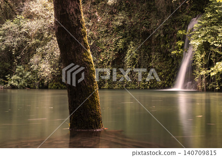 Tree trunk in calm lake with waterfall flowing Tree trunk in calm lake with waterfall flowing 140709815