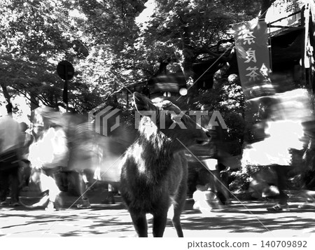 Deer standing still among blurred crowd motion in nara park 140709892