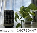 Japanese-style teacups and houseplants, a calming interior placed by the window. 140710447