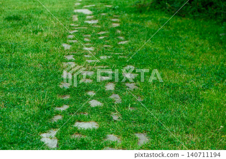 Garden path with stones set into dense green grass Garden path with stones set into dense green grass 140711194