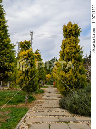 Pathway through a serene garden lined with vibrant green trees on a cloudy day Pathway through a serene garden lined with vibrant green trees on a cloudy day 140711201