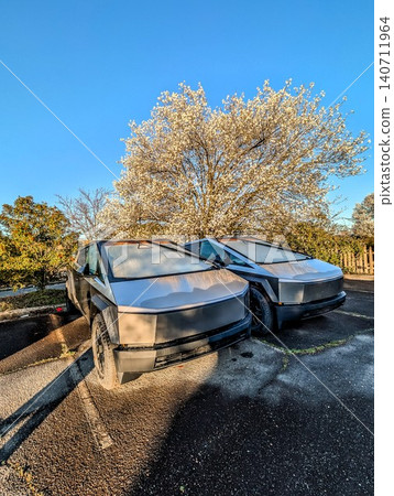 Multiple Tesla Cybertruck electric pickup trucks parked together outdoors Multiple Tesla Cybertruck electric pickup trucks parked together outdoors 140711964
