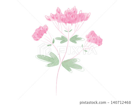 Autumn's Seven Flowers: A cute watercolor-style illustration of Eupatorium fortunei. Autumn's Seven Flowers: A cute watercolor-style illustration of Eupatorium fortunei. 140712468