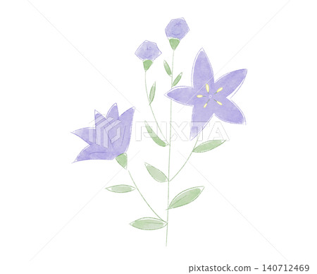 Autumn's Seven Flowers: A cute illustration of a bellflower (watercolor style) Autumn's Seven Flowers: A cute illustration of a bellflower (watercolor style) 140712469