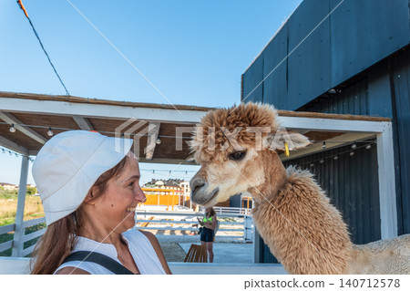 Moment of interaction between a human and an alpaca Moment of interaction between a human and an alpaca 140712578