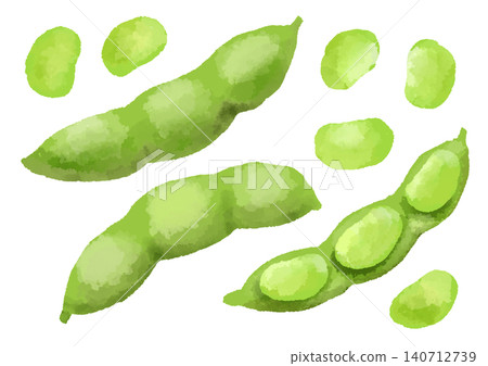 手繪水彩風格的毛豆插圖。 手繪水彩風格的毛豆插圖。 140712739