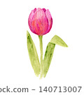 Bright watercolor hand painting textured pink tulip flower with green leaves. Tender watercolour floral blossom and grass element for pattern design, wedding greeting card decor, logo 140713007