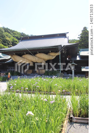 The main hall and irises of Miyajidake Shrine in Fukutsu City The main hall and irises of Miyajidake Shrine in Fukutsu City 140713033