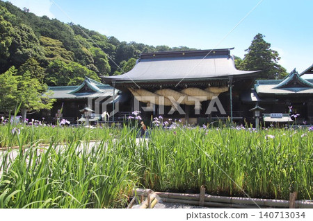 The main hall and irises of Miyajidake Shrine in Fukutsu City The main hall and irises of Miyajidake Shrine in Fukutsu City 140713034