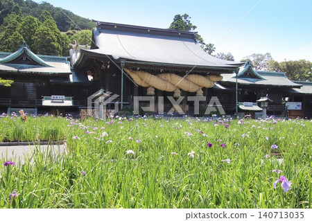 福津市宮地岳神社的主殿與鳶尾花 福津市宮地岳神社的主殿與鳶尾花 140713035