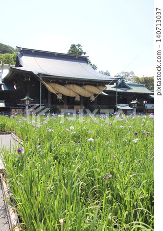 The main hall and irises of Miyajidake Shrine in Fukutsu City The main hall and irises of Miyajidake Shrine in Fukutsu City 140713037