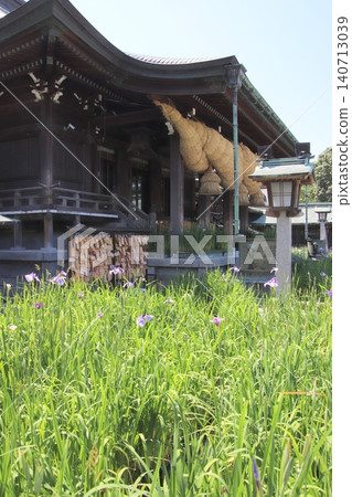 福津市宮地岳神社的主殿與鳶尾花 福津市宮地岳神社的主殿與鳶尾花 140713039