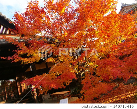 Takeshi Temple Takeshi Temple 140713416