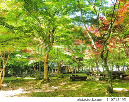 靜岡縣，井上康的故居，鬱鬱蔥蔥的花園，五月 140713495